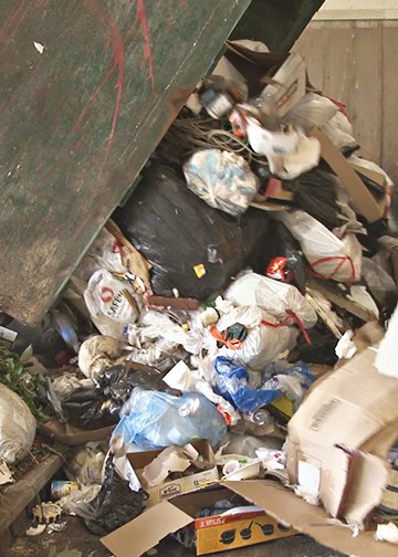 Sustainability services for institutions and businesses